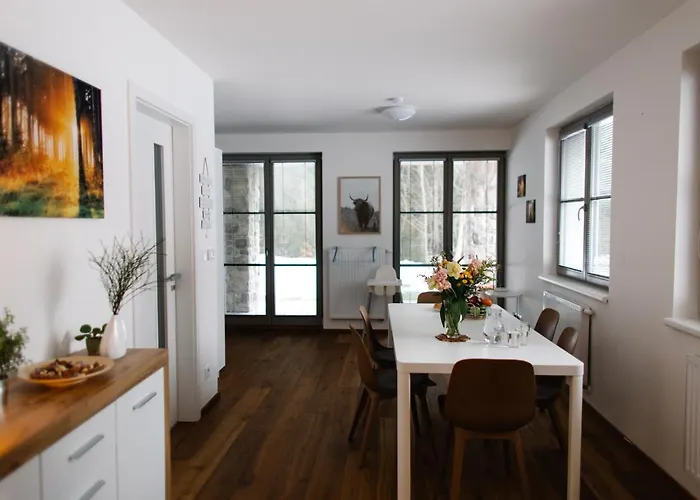 Apartment 90 M2 Horsky V Centru Harrachova Harrachov